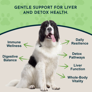 Animal Essentials Milk Thistle Herbal Tincture for Dogs & Cats