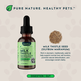 Animal Essentials Milk Thistle Herbal Tincture for Dogs & Cats