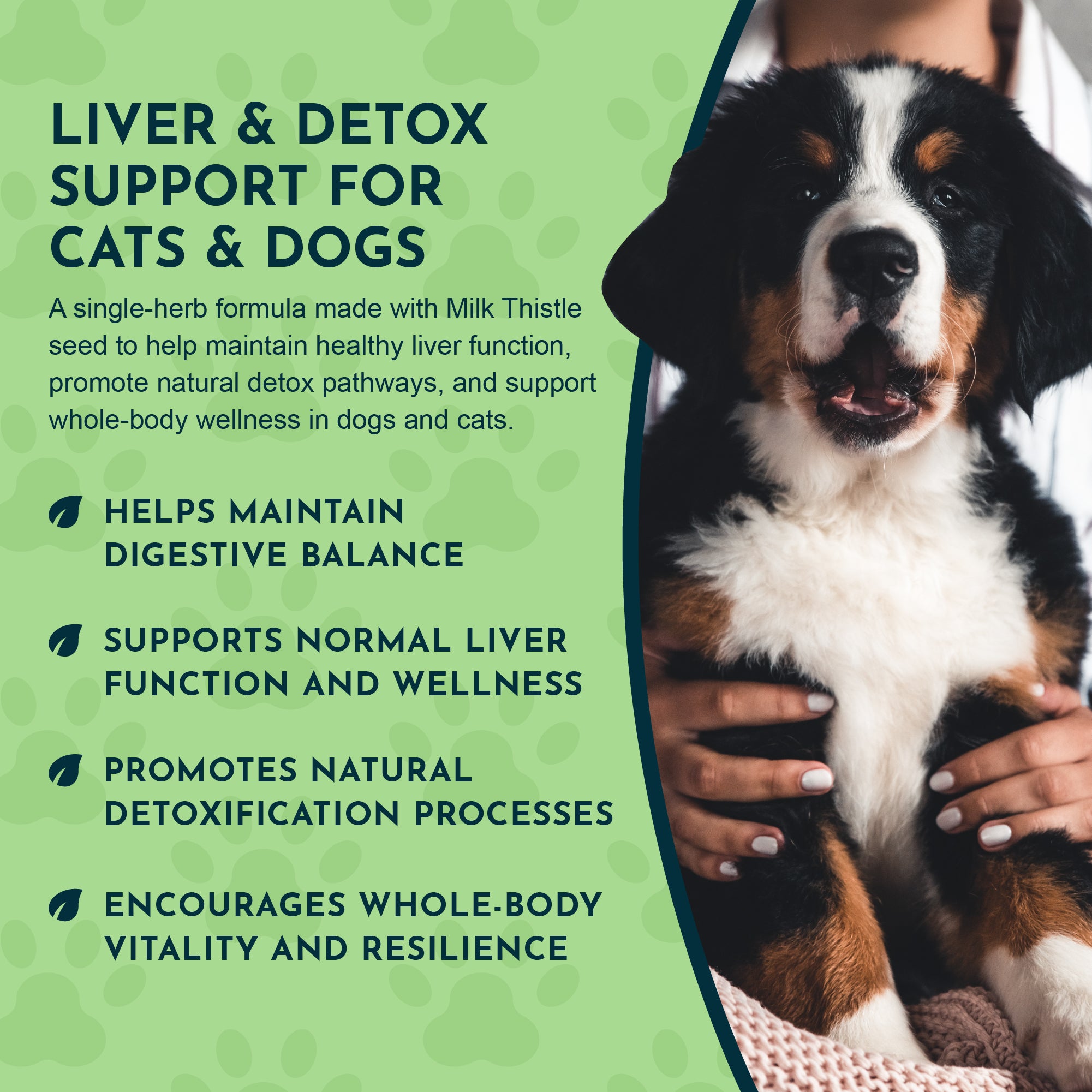 Animal Essentials Milk Thistle Herbal Tincture for Dogs & Cats
