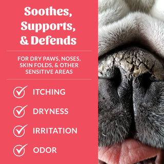 Skout's Honor Probiotic Pet Balm for Paws and Noses