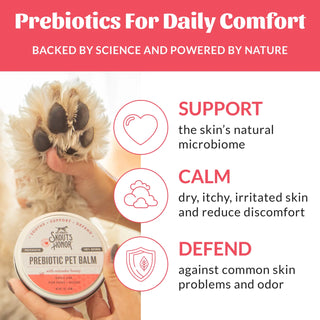 Skout's Honor Probiotic Pet Balm for Paws and Noses