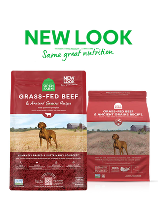 Open Farm Grass-Fed Beef & Ancient Grains