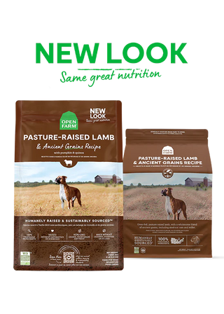Open Farm Pasture Lamb & Ancient Grains