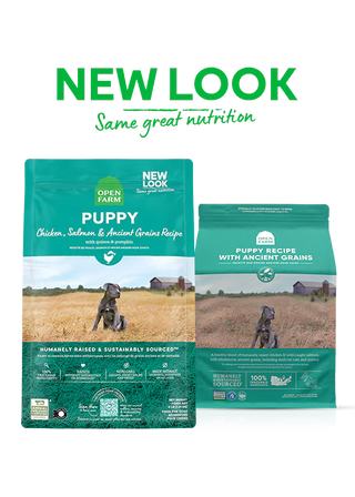 Open Farm Puppy Recipe with Ancient Grains