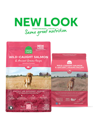 Open Farm Wild-Caught Salmon & Ancient Grains