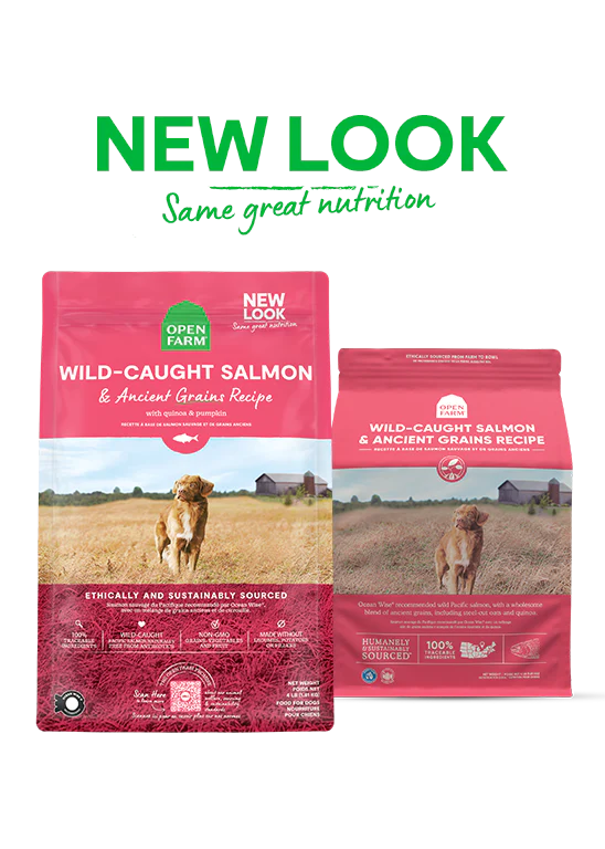 Open Farm Wild-Caught Salmon & Ancient Grains