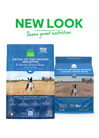 Open Farm Catch-of-the-Season Whitefish & Ancient Grains