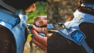 Ruffwear Front Range® Flex Harness