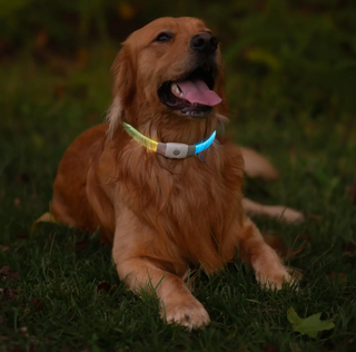Nite Ize NiteHowl® Max Rechargeable LED Safety Necklace - Disc-O Select™