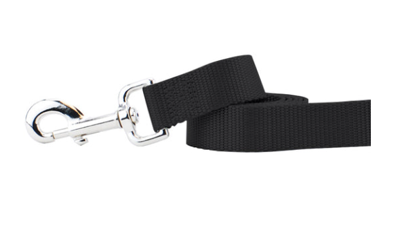 2 Hounds Nylon Leash