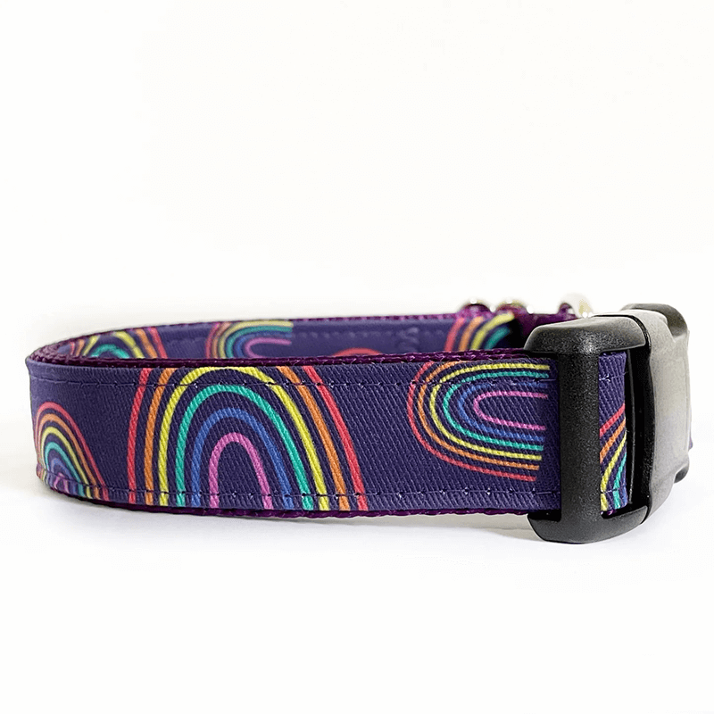 Sew Fetch Collar Randy Rainbow