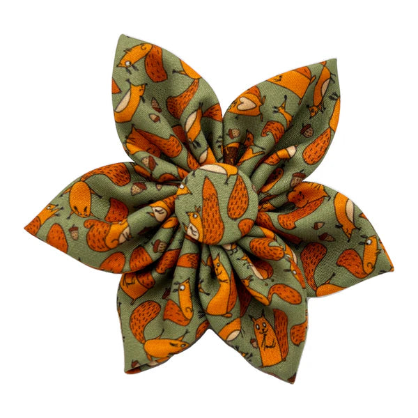 Huxley & Kent Pinwheel Silly Squirrels