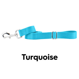 2 Hounds  Nylon Leash with Adjustable Handle