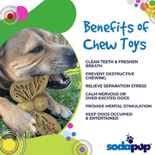 Soda Pup Nylon Butterfly Chew & Enrichment Toy