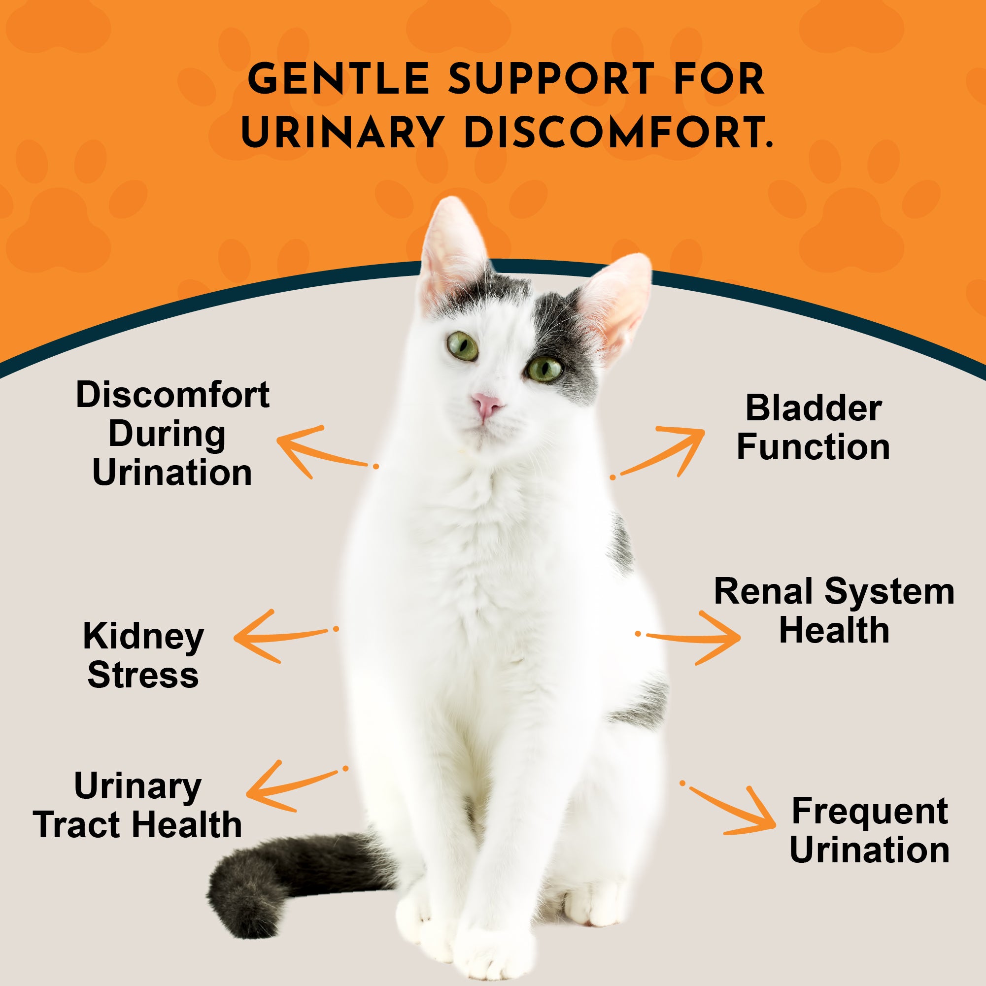 Animal Essentials Tinkle Tonic