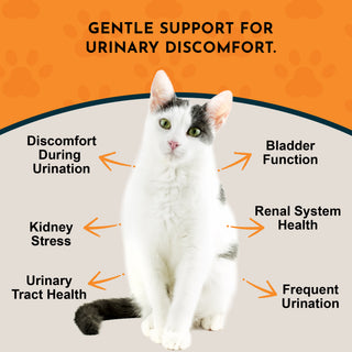 Animal Essentials Tinkle Tonic