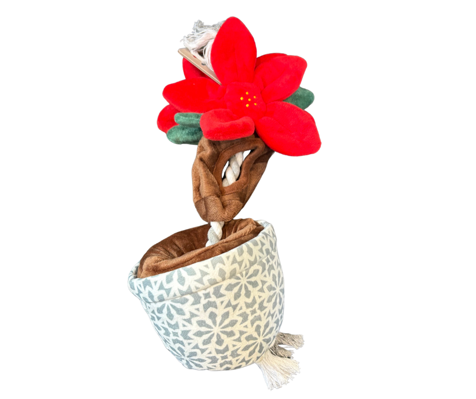 Tails Holiday Tug and Treat Poinsettia