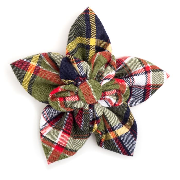 The Worthy Dog Flower Olive/Navy Plaid