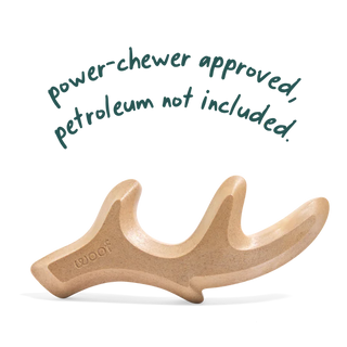 Woof HonestChew Antler Bone