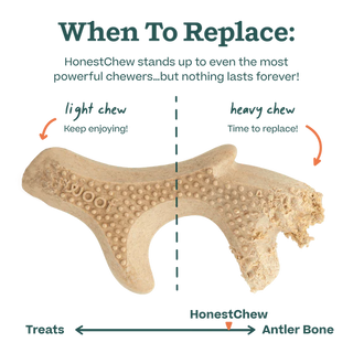 Woof HonestChew Antler Bone