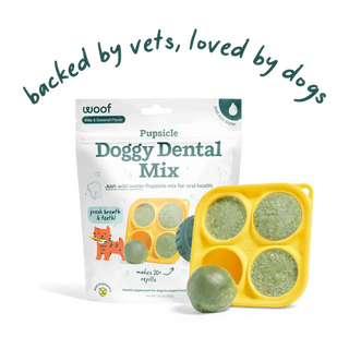 Woof Pupsicle Mix Dental