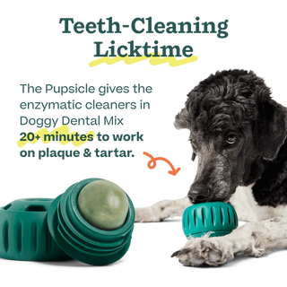Woof Pupsicle Mix Dental