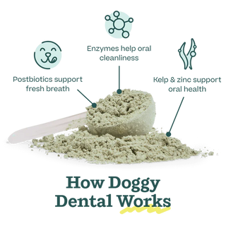 Woof Pupsicle Mix Dental