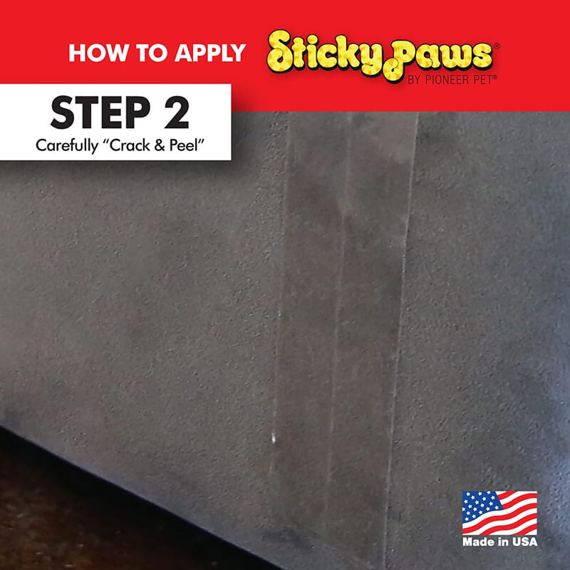 Pioneer Sticky Paws