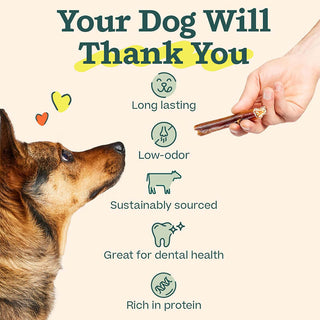 Woof BullySafe Collagen Chew 12"