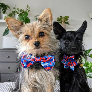Huxley & Kent American Tie Dye Bow Tie