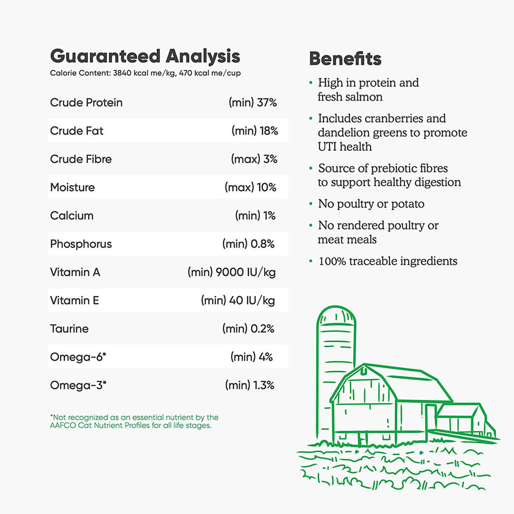 Open Farm Cat Wild Salmon