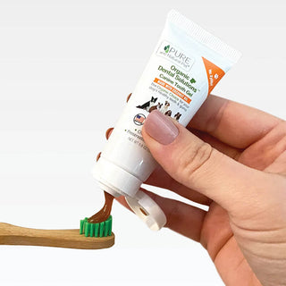 Pure and Natural Organic Tooth Gel and Bamboo Toothbrush for Large Dogs
