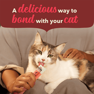 Acana Cat Lickables Salmon