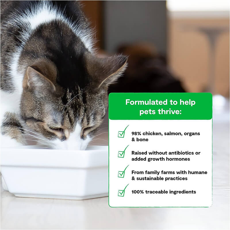 Open Farm Cat Freeze Dried Raw Morsels Chicken & Salmon