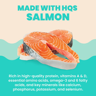 Almo Nature Hydration Help Salmon in Broth