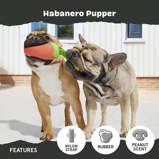 BARK Super Chewer Habanero Pupper