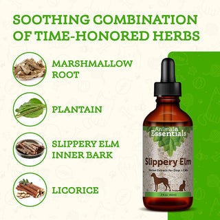 Animal Essentials Slippery Elm Herbal Extract for Dogs & Cats