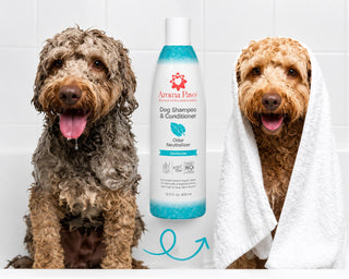 Aroma Paws Dog Shampoo Odor Neutralizer – Deodorizer Formula, 13.5 oz