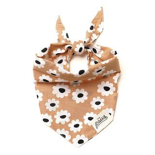 The Paws Bandana - Sierra Daisies