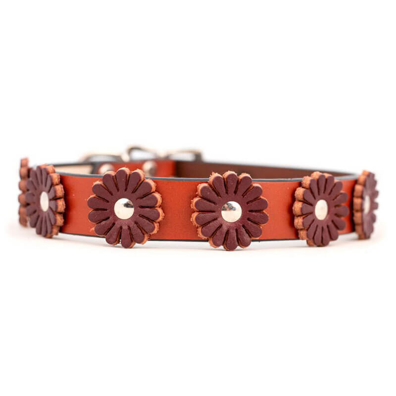 Auburn Leathercrafters Flower Collar