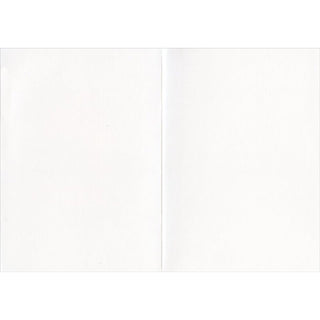 Avanti America Collection Blank Card- Boy & Girl Saluting Flag