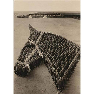 Avanti America Friendship Card - Military Officers Form Horse