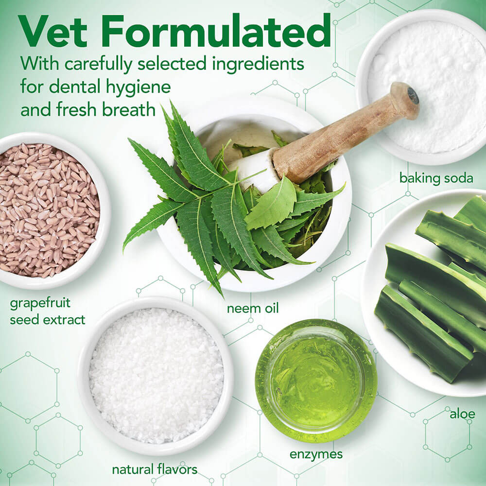 Vet's Best Enzymatic Toothpaste for Dogs