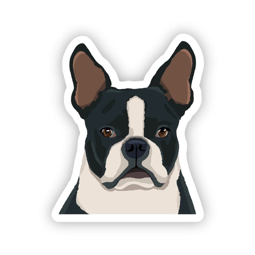 Happy Sploot Designs Vinyl Sticker - Boston Terrier