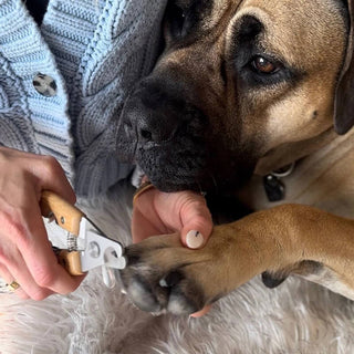 Bamboo Groom Nail Clippers
