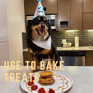 Bark Bistro Buddy Budder Gimme S'mores