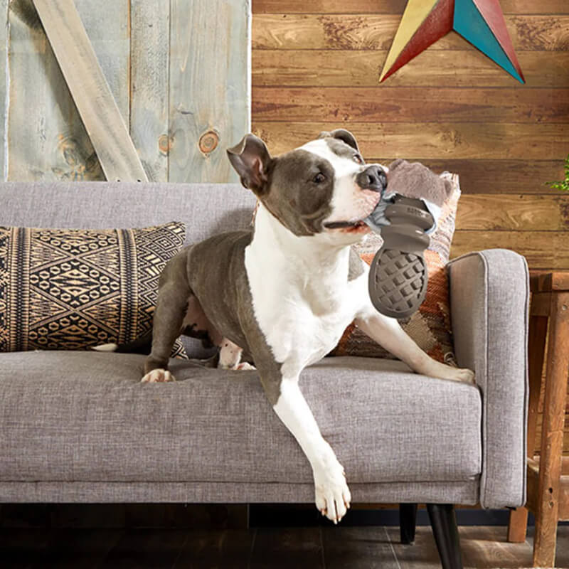 BARK Super Chewer Buck Wild