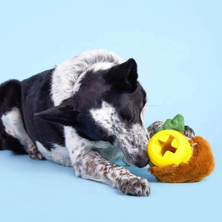 BARK Super Chewer Fowl Play
