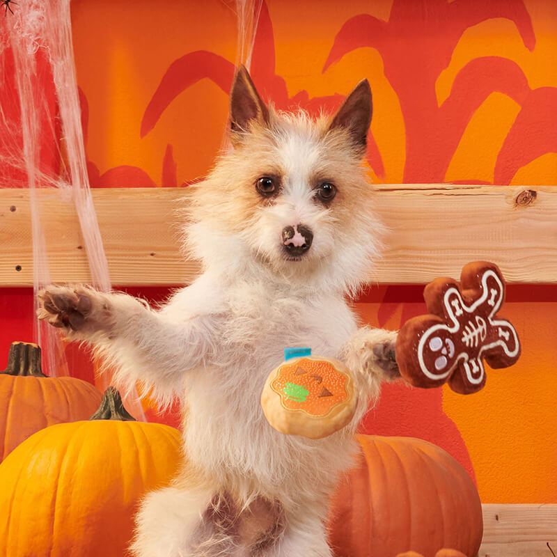 BARK Spookie Cookies Plush