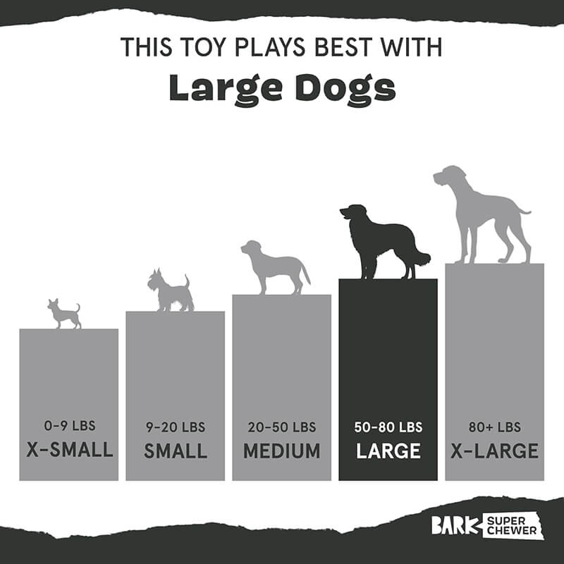BARK Super Chewer Acornucopia